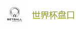 2026世界杯官方指定下注平台
